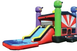 Ninja Warrior Bounce n Slide (Wet or Dry)